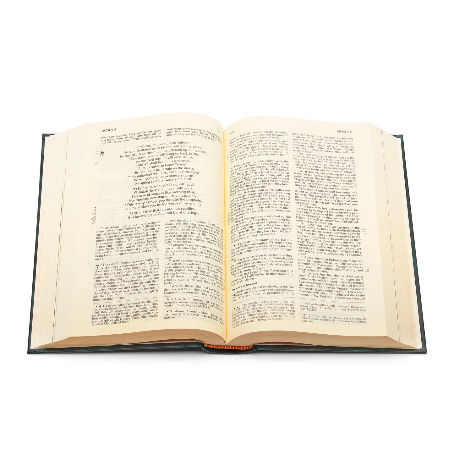 Mondo Cattolico 21.5 cm (8.46 in) Holy Bible in English