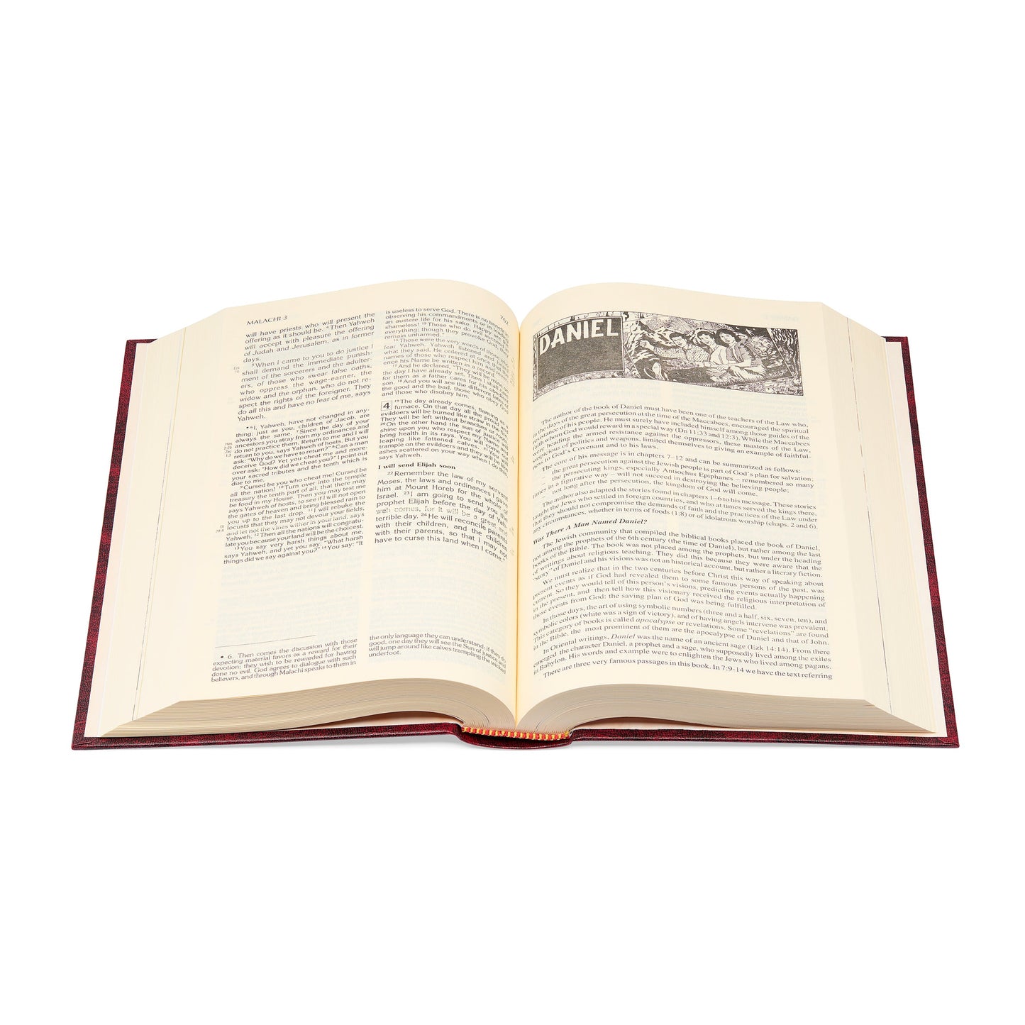 Mondo Cattolico Bible 21.5 cm (8.46 in) Red Christian Community Bible: Catholic Pastoral Edition in English