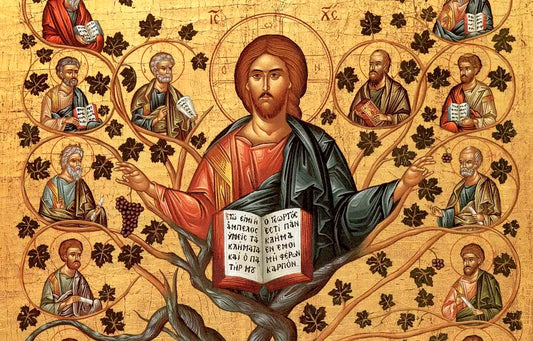 THE MEANING OF TREE OF LIFE