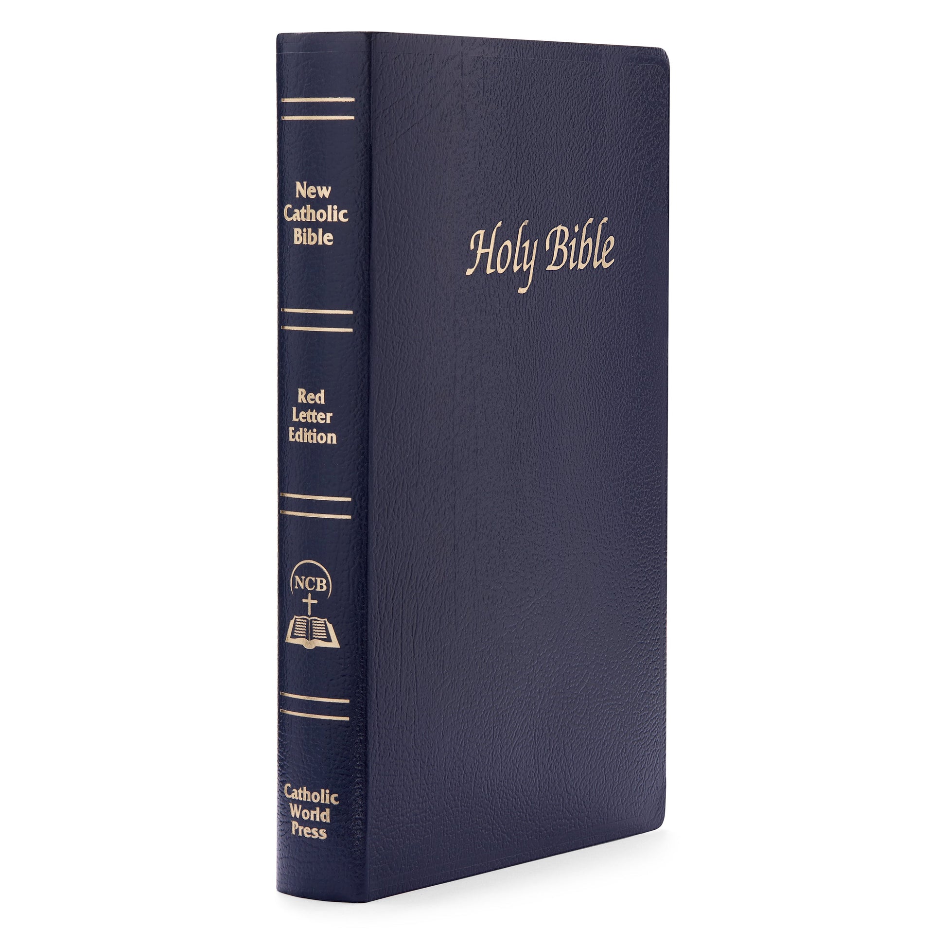 Mondo Cattolico 23 cm (9.06 in) First Communion Bible