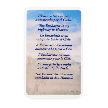 MONDO CATTOLICO ROMA Rosary 15 cm (5.91 in) / 5 mm (0.20 in) Saint Carlo Acutis One-Decade Rosary with Prayer Card