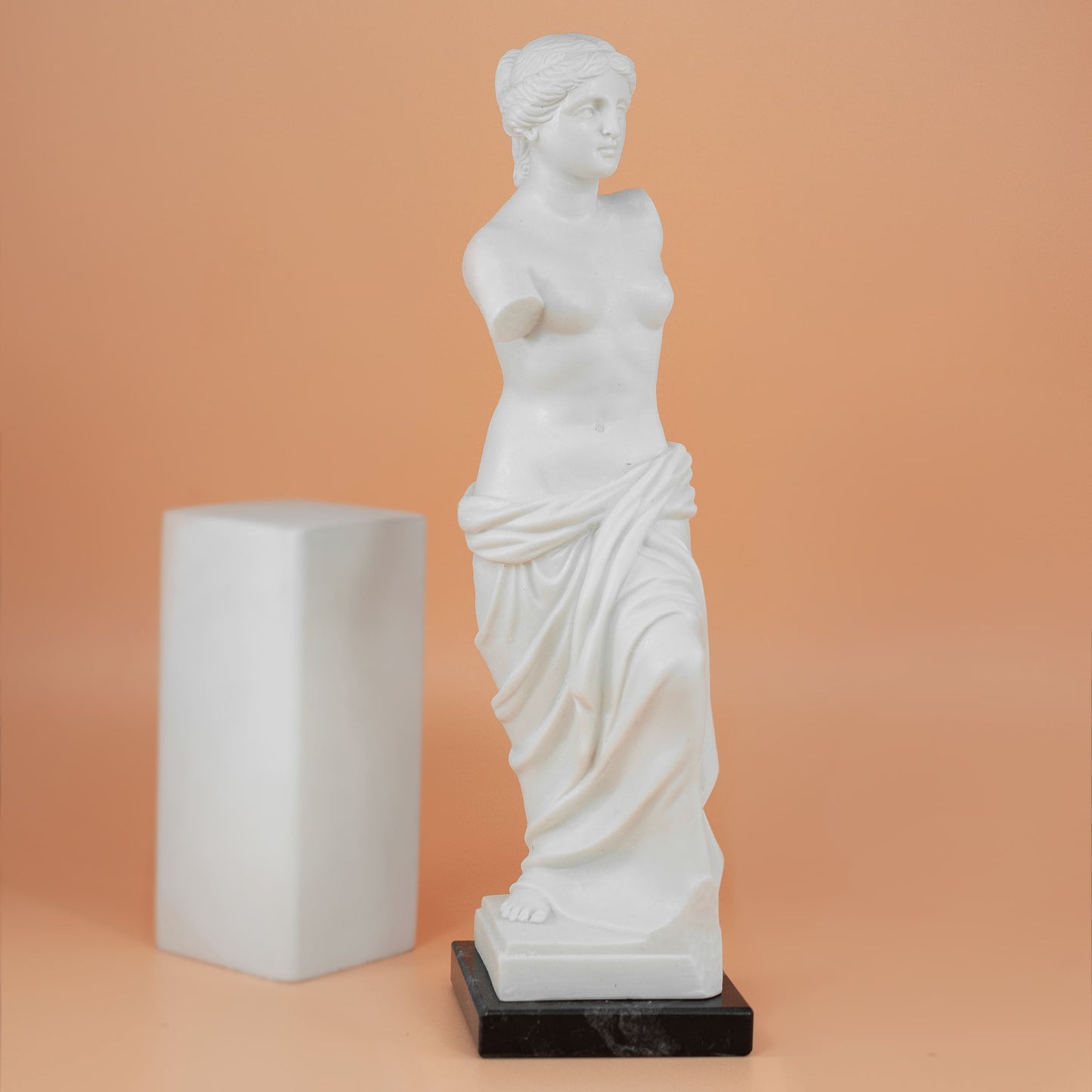 MONDO CATTOLICO Venus de Milo Marble Dust Statue